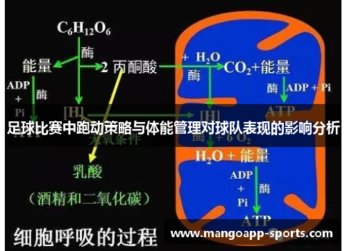 足球比赛中跑动策略与体能管理对球队表现的影响分析